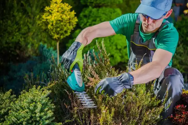 landscaping services Pittsfield